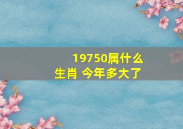 19750属什么生肖 今年多大了